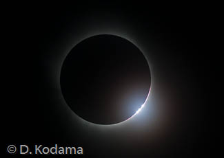 © Kodama